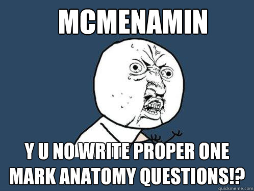 McMenamin y u no write proper one mark anatomy questions!? - McMenamin y u no write proper one mark anatomy questions!?  Y U No