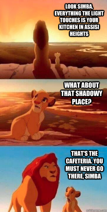 look simba, everything the light touches is your kitchen in Assisi Heights what about that shadowy place? that's the Cafeteria. you must never go there, simba  SIMBA