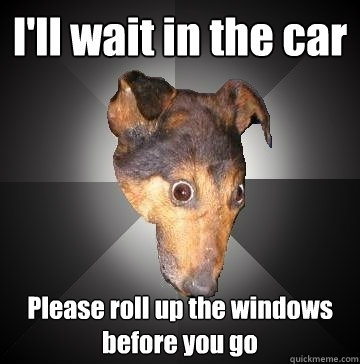 I'll wait in the car Please roll up the windows before you go  Depression Dog