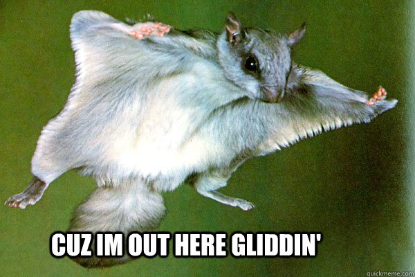 cuz im out here gliddin'  ghetto squirrel