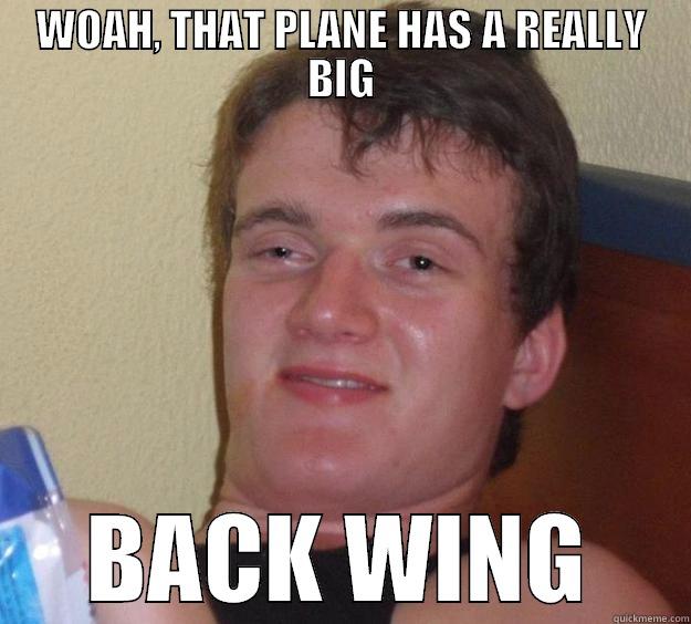 WOAH, THAT PLANE HAS A REALLY BIG BACK WING 10 Guy