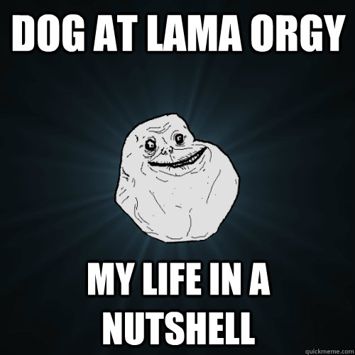 Dog at lama orgy my life in a nutshell  Forever Alone