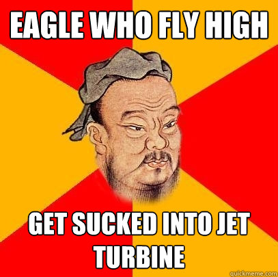 Eagle who fly high get sucked into jet turbine  Confucius says