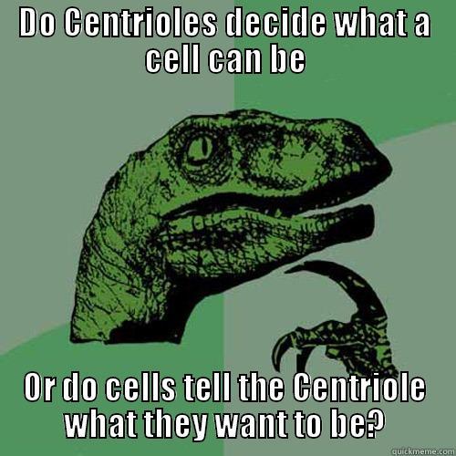 DO CENTRIOLES DECIDE WHAT A CELL CAN BE OR DO CELLS TELL THE CENTRIOLE WHAT THEY WANT TO BE? Philosoraptor