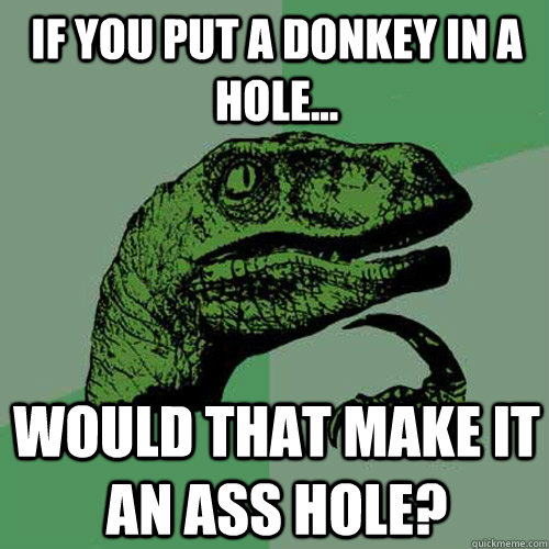 If you put a donkey in a hole... would that make it an ass hole?  Philosoraptor