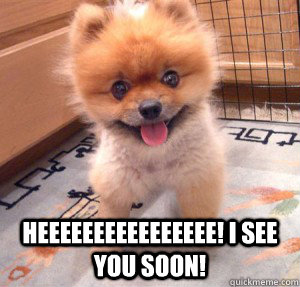  HEEEEEEEEEEEEEEEE! I SEE YOU SOON! -  HEEEEEEEEEEEEEEEE! I SEE YOU SOON!  Cute Dog Cool J