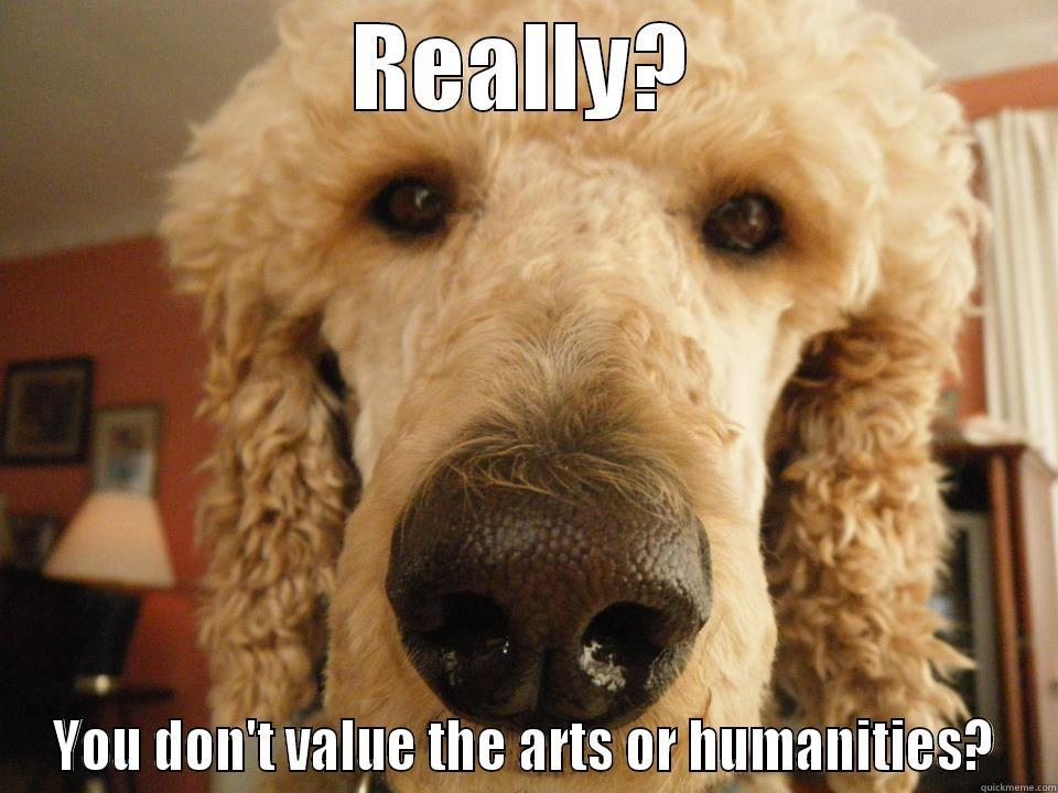 REALLY? YOU DON'T VALUE THE ARTS OR HUMANITIES? Misc