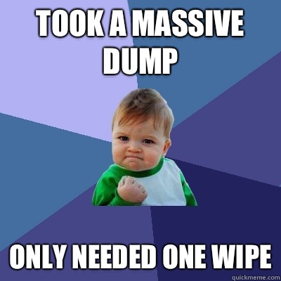 Took a massive dump Only needed one wipe  Success Kid