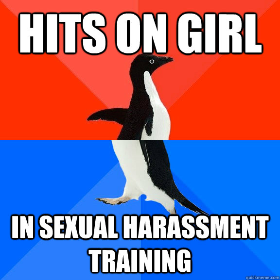 Hits on girl In sexual harassment training  Socially Awesome Awkward Penguin