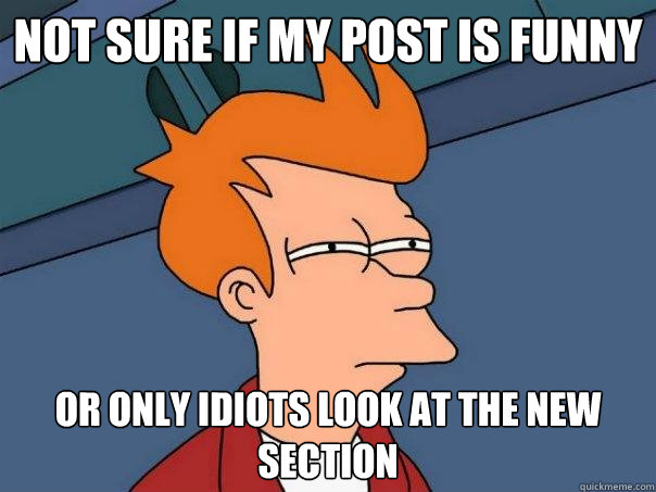 Not sure if my post is funny Or only idiots look at the new section  Futurama Fry