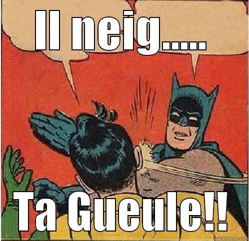 IL NEIG..... TA GUEULE!! Batman Slapping Robin