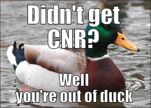 DIDN'T GET CNR? WELL YOU'RE OUT OF DUCK Actual Advice Mallard