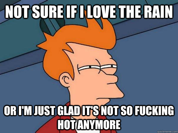 Not sure if I love the rain or I'm just glad it's not so fucking hot anymore  Futurama Fry