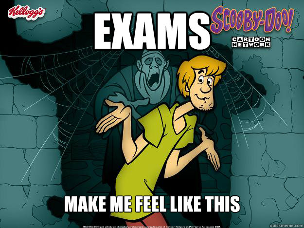 exams make me feel like this  Irrational Shaggy