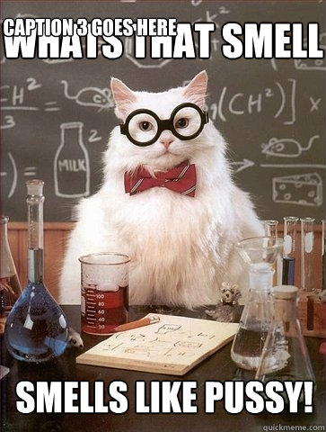 Whats that smell Smells like pussy! Caption 3 goes here  Chemistry Cat