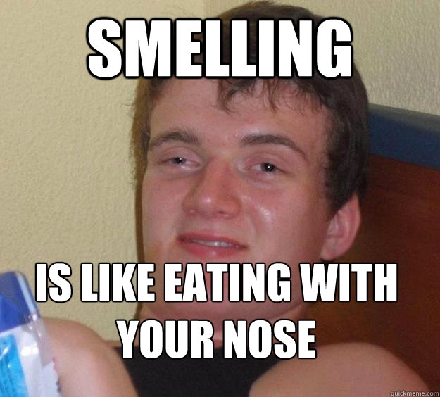 Smelling is like eating with your nose
  10 Guy