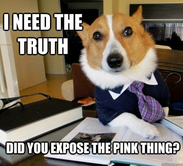 I need the truth Did you expose the pink thing?  Lawyer Dog