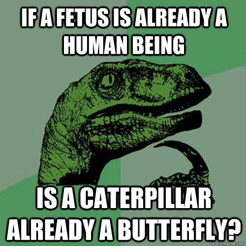 If a fetus is already a human being is a caterpillar already a butterfly?   Philosoraptor