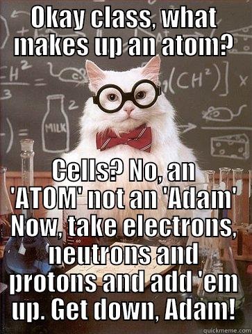 OKAY CLASS, WHAT MAKES UP AN ATOM? CELLS? NO, AN 'ATOM' NOT AN 'ADAM' NOW, TAKE ELECTRONS, NEUTRONS AND PROTONS AND ADD 'EM UP. GET DOWN, ADAM! Chemistry Cat