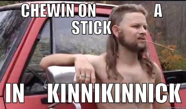 CHEWIN ON                   A STICK   IN     KINNIKINNICK Almost Politically Correct Redneck