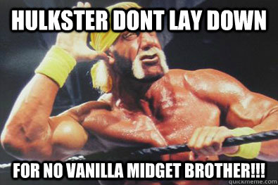 hulkster dont lay down for no vanilla midget brother!!!  Hulk Hogan