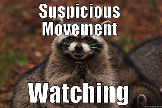 Something Suspicious - SUSPICIOUS MOVEMENT WATCHING Evil Plotting Raccoon