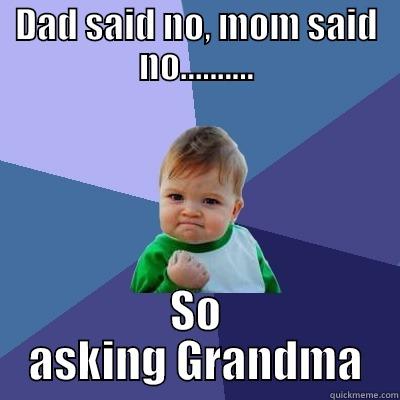 DAD SAID NO, MOM SAID NO.......... SO ASKING GRANDMA Success Kid