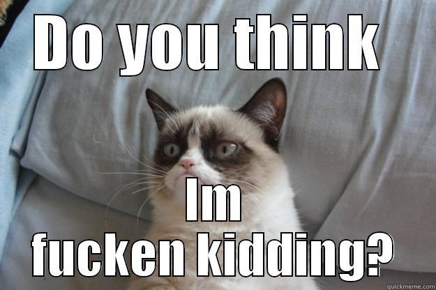 DO YOU THINK  IM FUCKEN KIDDING? Grumpy Cat