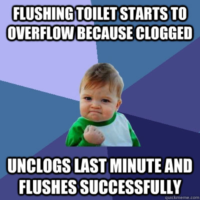 Flushing toilet starts to overflow because clogged Unclogs last minute and flushes successfully - Flushing toilet starts to overflow because clogged Unclogs last minute and flushes successfully  Success Kid