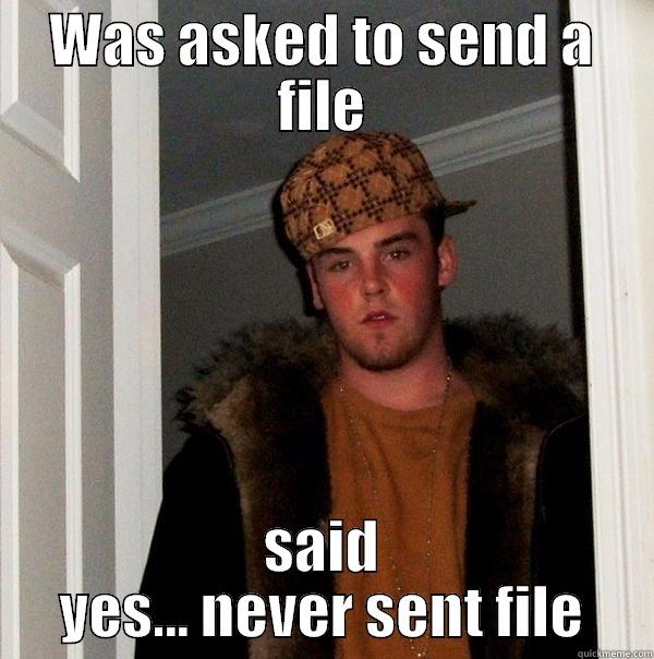 d-bag graphic designer  - WAS ASKED TO SEND A FILE SAID YES... NEVER SENT FILE Scumbag Steve