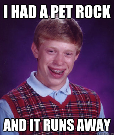 I had a pet rock And it runs away  Bad Luck Brian