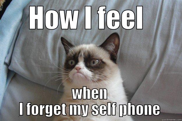 HOW I FEEL  WHEN I FORGET MY SELF PHONE Grumpy Cat