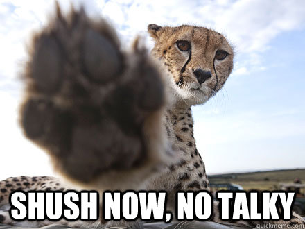 Shush now, no talky - Shush now, no talky  Interview Declined Cheetah