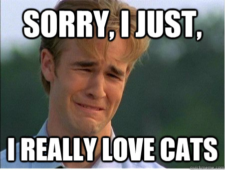 sorry, I just, I really love cats  1990s Problems