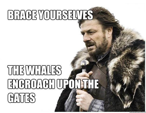 BRACE YOURSELVES



The whales encroach upon the gates  Imminent Ned