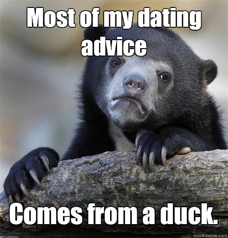 Most of my dating advice  Comes from a duck.  Confession Bear