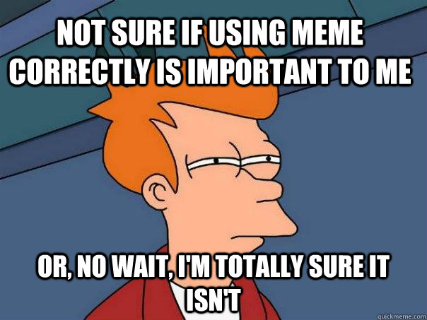 Not sure if using meme correctly is important to me Or, no wait, I'm totally sure it isn't - Not sure if using meme correctly is important to me Or, no wait, I'm totally sure it isn't  Futurama Fry