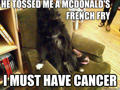 He tossed me a mcDonald's french fry                I must have cancer  