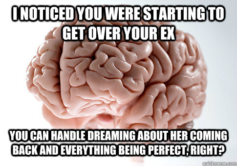 I NOTICED YOU WERE STARTING TO GET OVER YOUR EX YOU CAN HANDLE DREAMING ABOUT HER COMING BACK AND EVERYTHING BEING PERFECT, RIGHT? - I NOTICED YOU WERE STARTING TO GET OVER YOUR EX YOU CAN HANDLE DREAMING ABOUT HER COMING BACK AND EVERYTHING BEING PERFECT, RIGHT?  Scumbag Brain