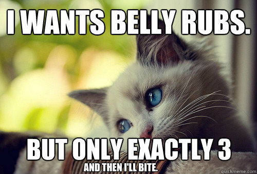 I wants belly rubs. But only exactly 3 and then I'll bite.  First World Problems Cat