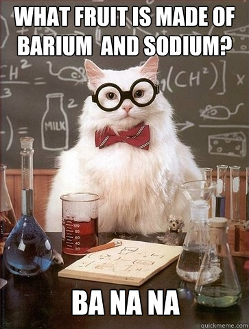 what fruit is made of barium  and sodium? Ba Na Na - what fruit is made of barium  and sodium? Ba Na Na  Chemistry Cat