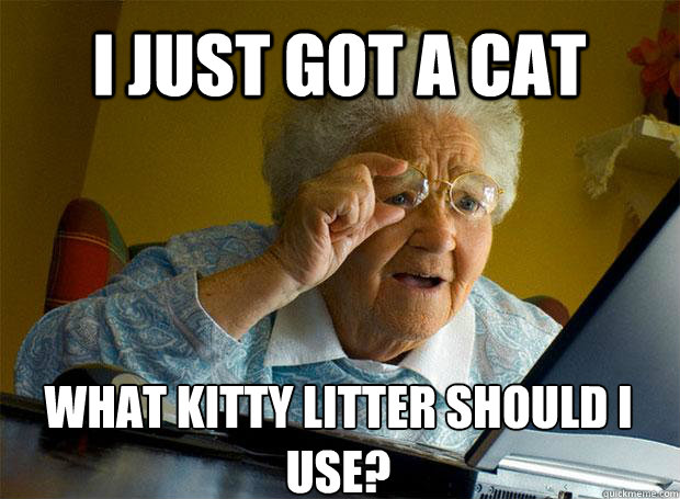 I JUST GOT A CAT WHAT KITTY LITTER SHOULD I USE?    Grandma finds the Internet