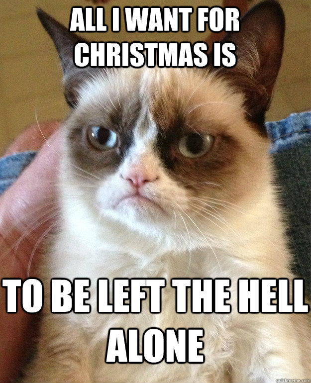 all i want for christmas is to be left the hell alone  Grumpy Cat