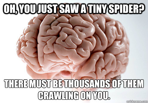 Oh, you just saw a tiny spider? There must be thousands of them crawling on you.   Scumbag Brain