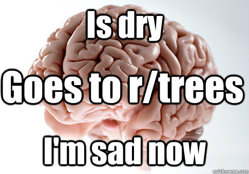 Is dry I'm sad now Goes to r/trees  Scumbag Brain