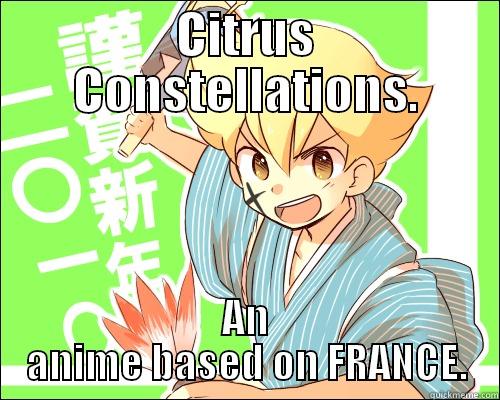 CITRUS CONSTELLATIONS. AN ANIME BASED ON FRANCE. Misc