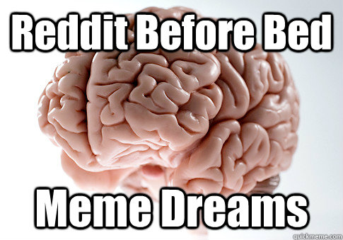 Reddit Before Bed Meme Dreams  Scumbag Brain