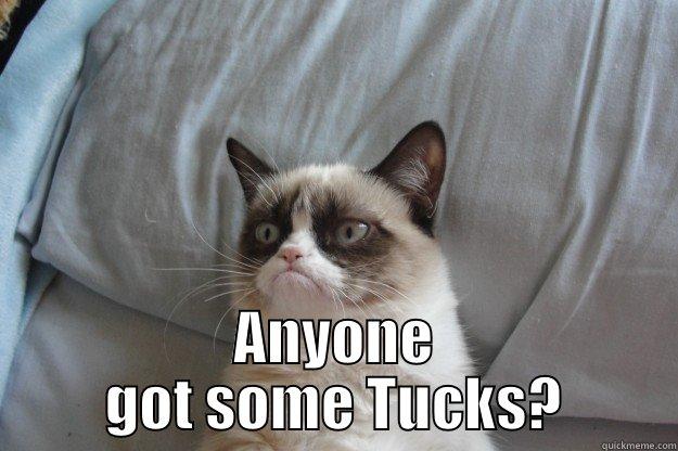  ANYONE GOT SOME TUCKS? Grumpy Cat