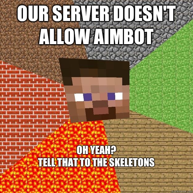 Our server doesn't allow aimbot Oh yeah? 
Tell that to the skeletons  Minecraft