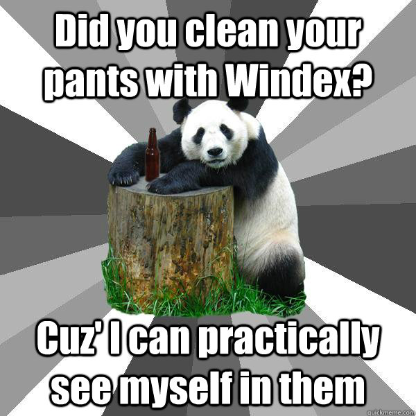 Did you clean your pants with Windex? Cuz' I can practically see myself in them  Pickup-Line Panda